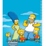 دفتر 60 برگ سیمی جلد نرم وزیری-طرح 1