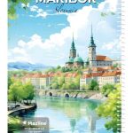 دفتر 100 برگ سیمی مجلد وزیری - طرح 6